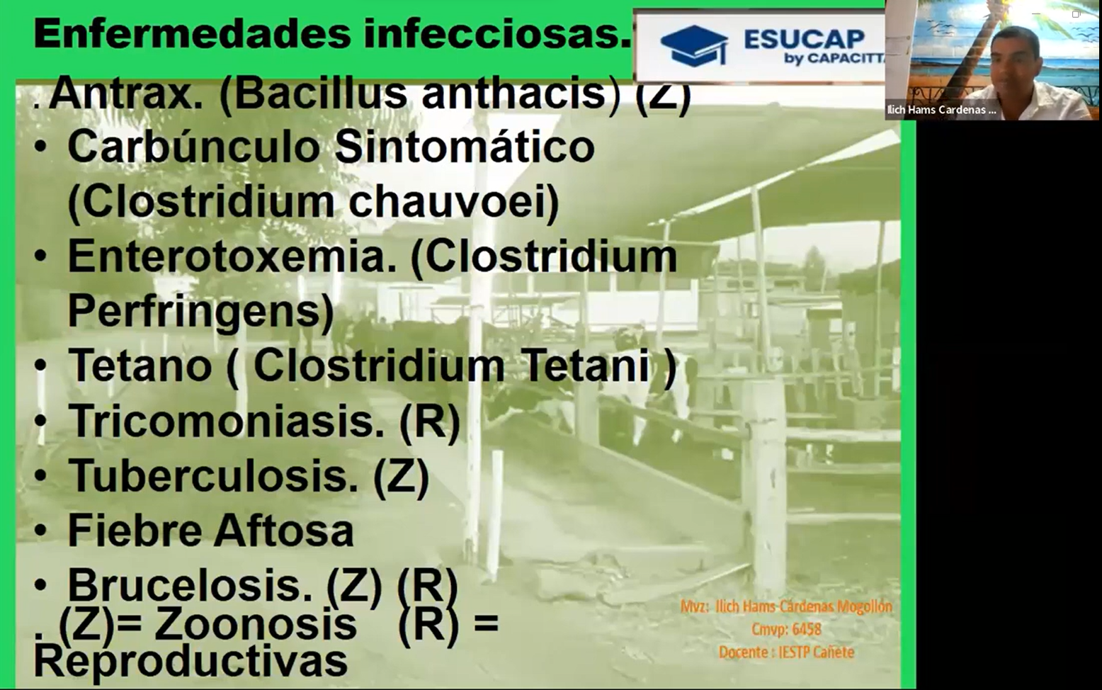  ENFERMEDADES INFECCIOSAS BOVINOS 1:ANTRAX, CARBUNCO, TÉTANO, TRICOMONIASIS, TUBERCULOSIS, FIEBRE AFTOSA, BRUCELOSIS